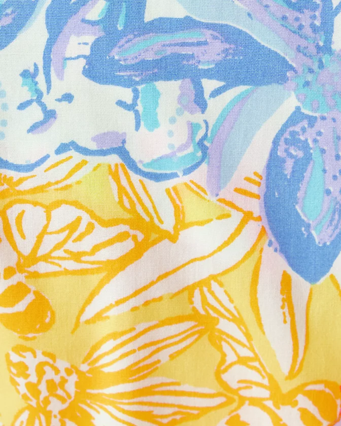 Pasted Image